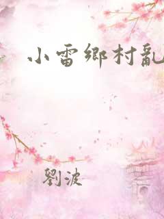小雷乡村乱情