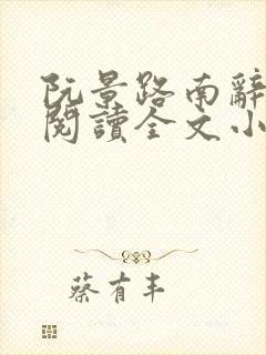 阮景路南辞免费阅读全文小说