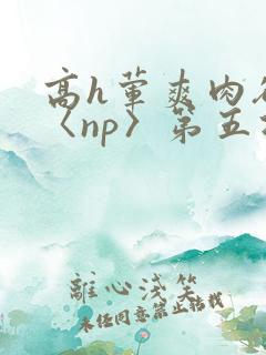 高h荤爽肉欲文〈np〉第五次