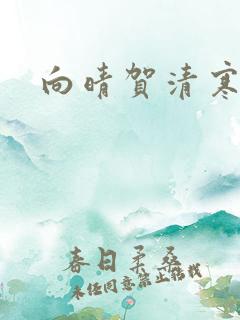 向晴贺清寒小说