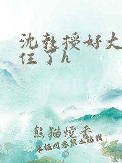 沈教授好大含不住了h