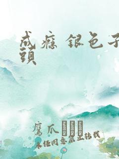 成瘾 银色子弹头