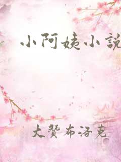 小阿姨小说