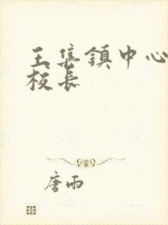 王集镇中心小学校长