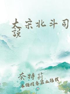 大宋北斗司 小说