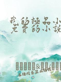我的极品小姨全免费的小说