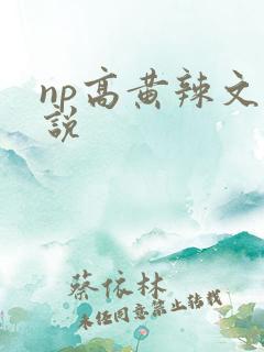 np高黄辣文小说