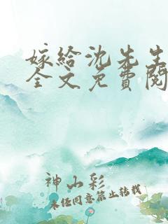 嫁给沈先生小说全文免费阅读