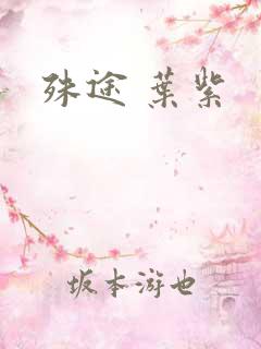 殊途 叶紫