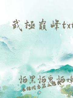 武极巅峰txt