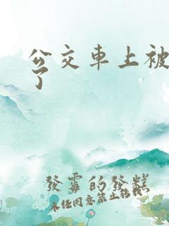公交车上被人上了