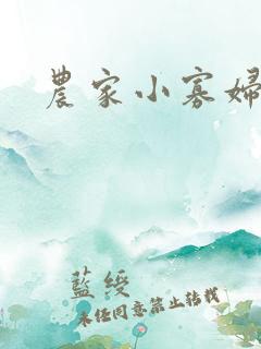 农家小寡妇