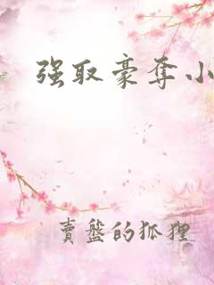 强取豪夺小说