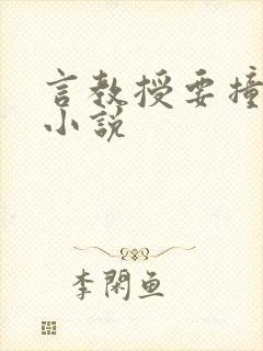言教授要撞坏了小说