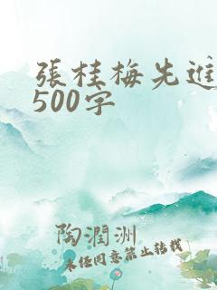 张桂梅先进事迹500字