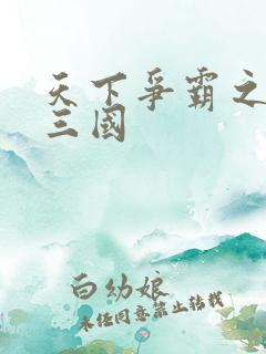 天下争霸之一统三国