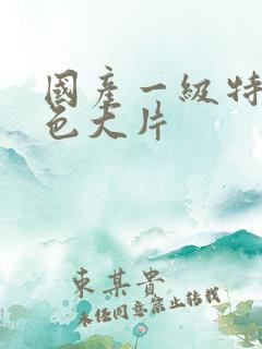国产一级特黄特色大片