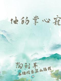 他的掌心宠