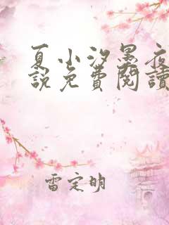 夏小汐墨夜霆小说免费阅读