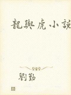 龙与虎小说