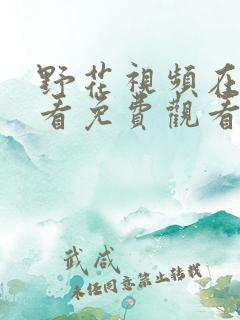 野花视频在线观看免费观看最新章节
