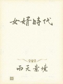 女婿时代
