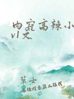 肉宠高辣小说1v1文