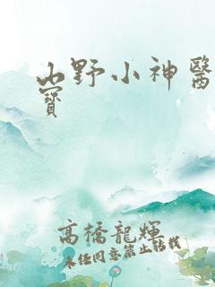 山野小神医赵大宝