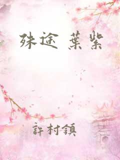殊途 叶紫