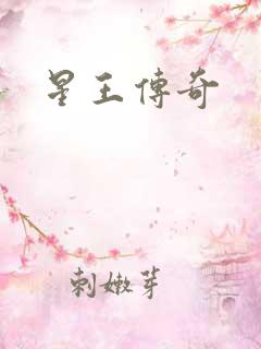 星王传奇