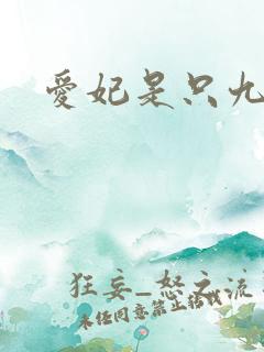 爱妃是只九尾猫