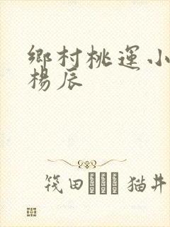乡村桃运小神医杨辰