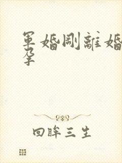 军婚刚离婚就怀孕