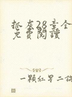 抓灰28章全部免费阅读
