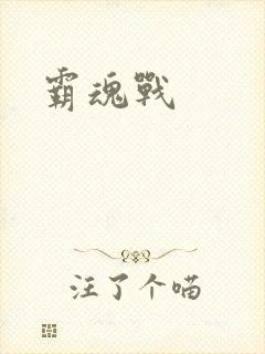 霸魂战