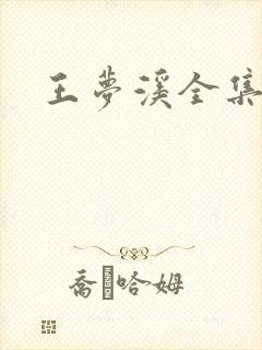 王梦溪全集