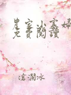 农家小寡妇全文免费阅读