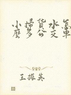 小扫货水怎么那么多公交车作文