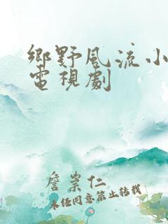 乡野风流小神医电视剧