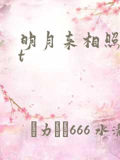 明月来相照txt