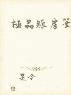极品账房笔趣阁