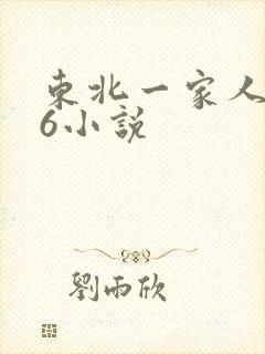 东北一家人1一6小说