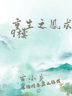 重生之凤求凰19楼