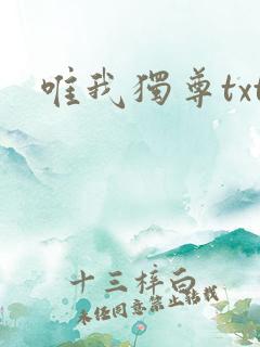唯我独尊txt