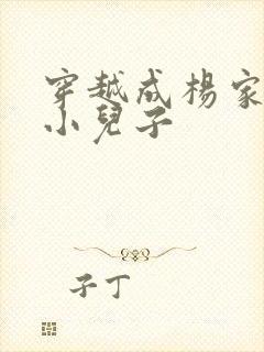 穿越成杨家将最小儿子