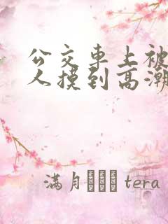 公交车上被陌生人摸到高潮