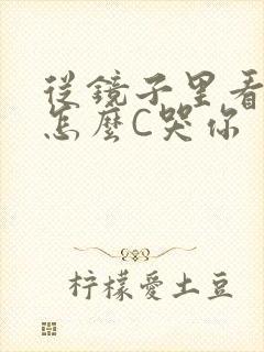 从镜子里看我是怎么C哭你