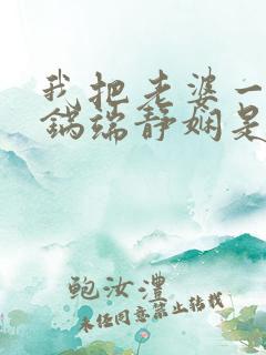 我把老婆一家一锅端静娴是什么书