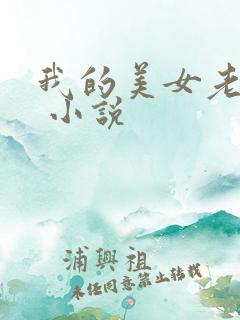 我的美女老婆们 小说