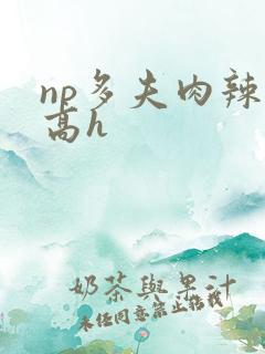 np多夫肉辣文高h